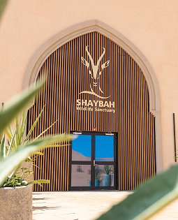 Shaybah wildlife